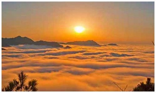 2026最新龙岛异兽龙种排行官网入口在哪？附最新版本更新内容